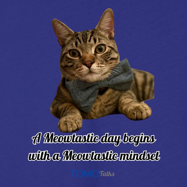 Meowtastic Mindset