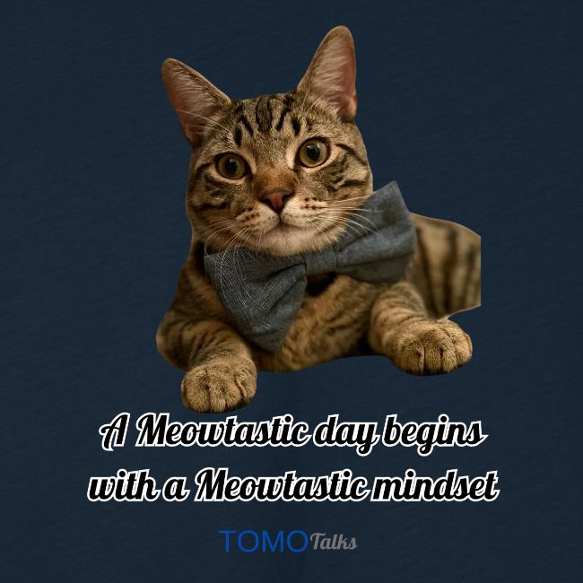 Meowtastic Mindset