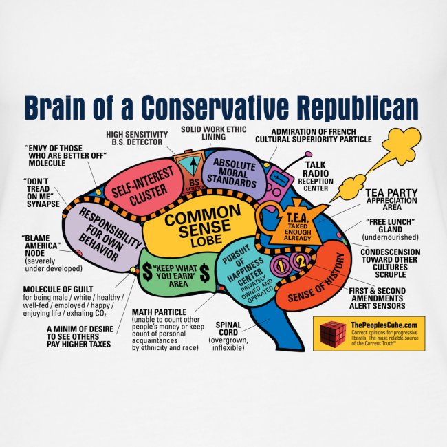 Brain of a Conservative Republican