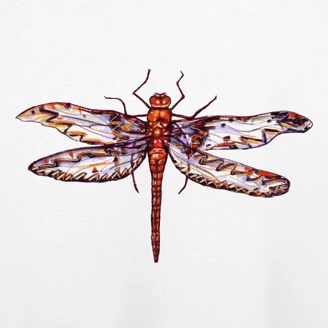 Dragonfly red