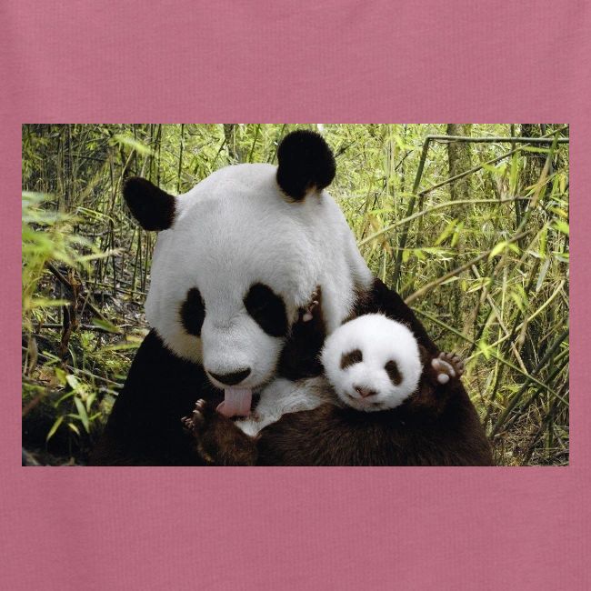panda