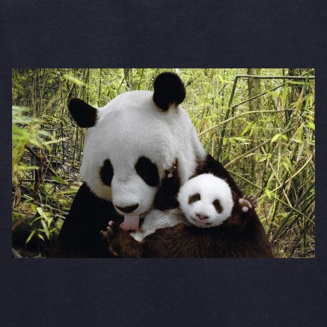 panda