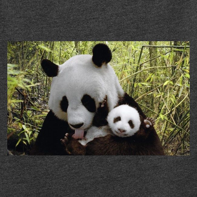 panda
