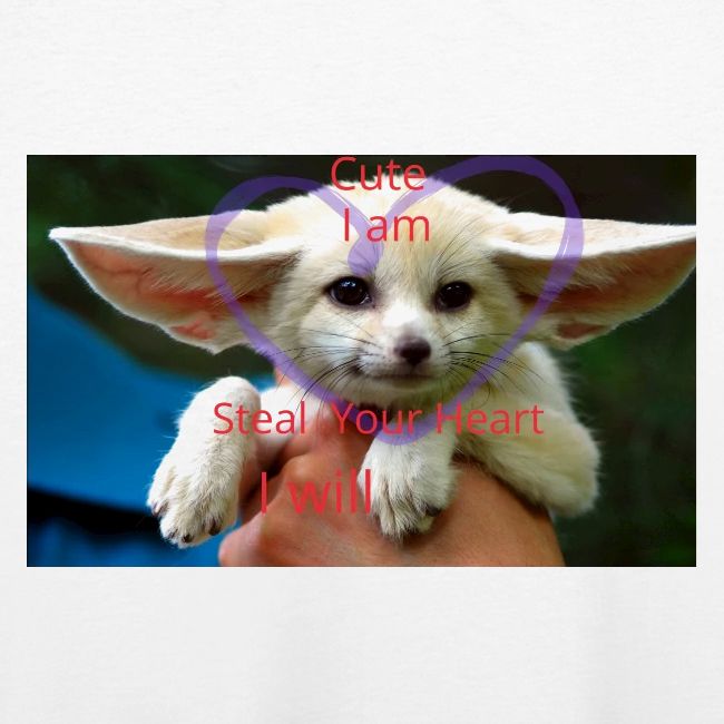 baby fox