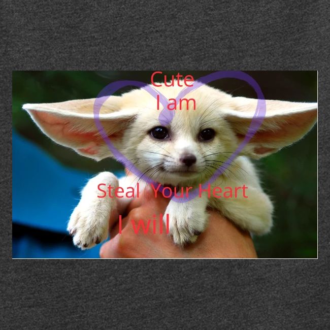 baby fox