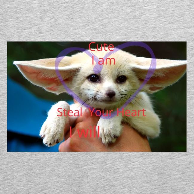 baby fox