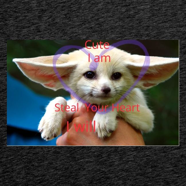 baby fox