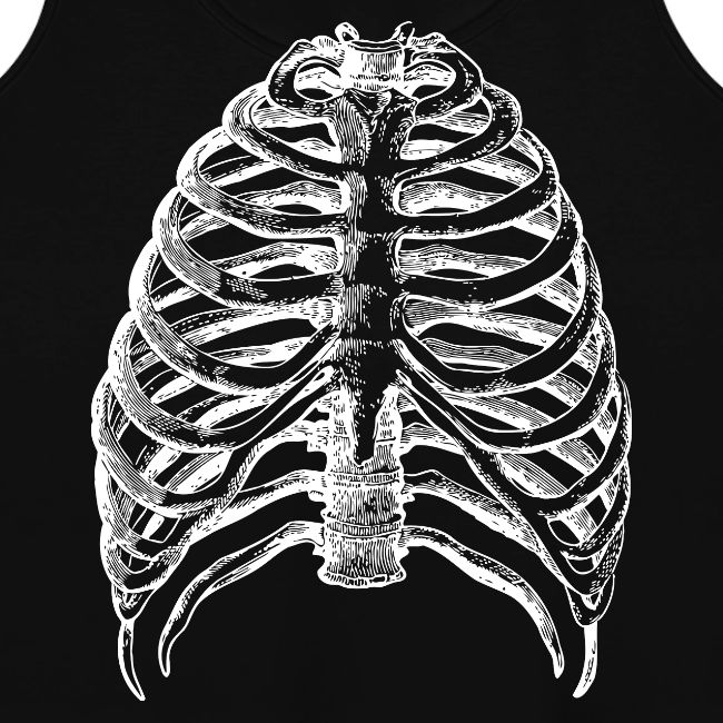 Human Rib Cage