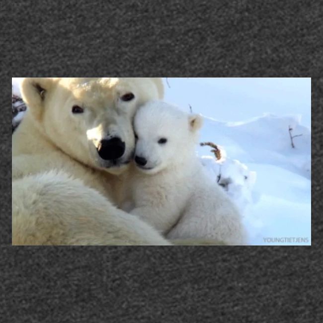 polarbearhug