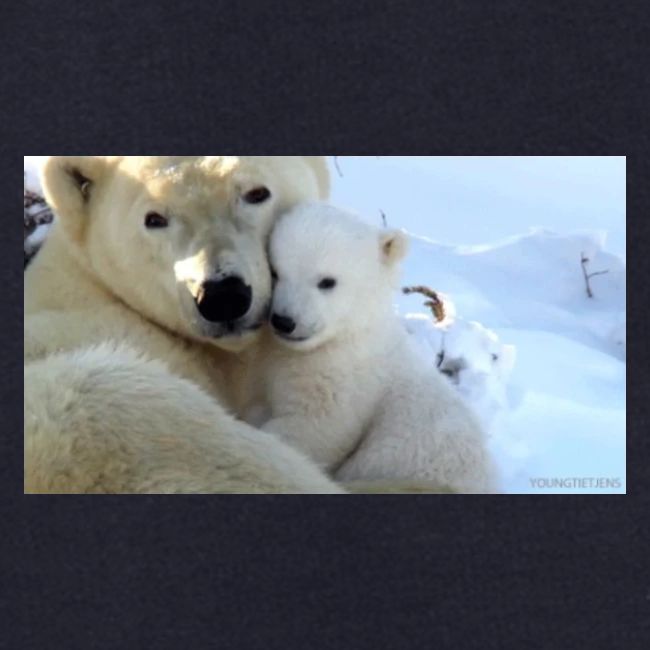 polarbearhug