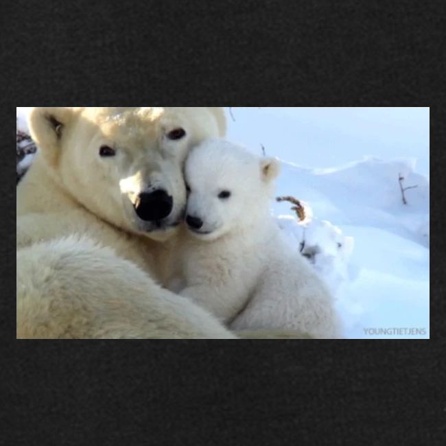 polarbearhug