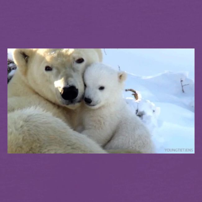 polarbearhug