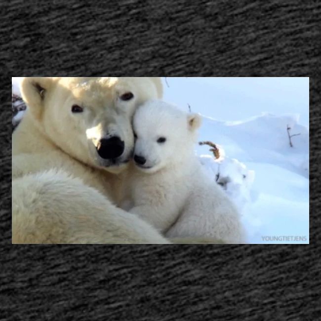 polarbearhug