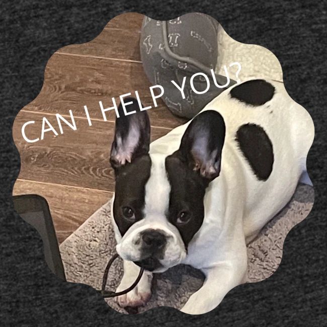 MOCHI CAN I HELP YOU