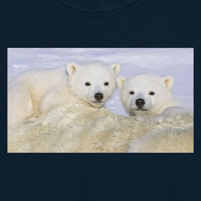 polarbears
