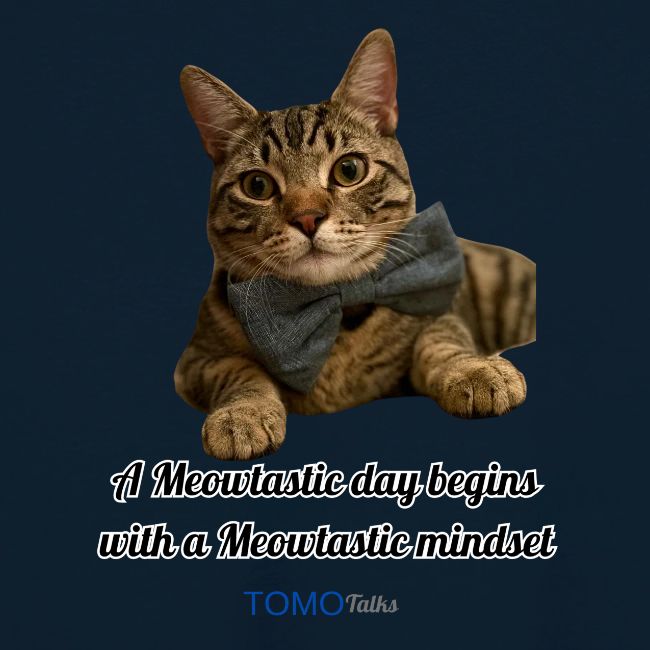 Meowtastic Mindset