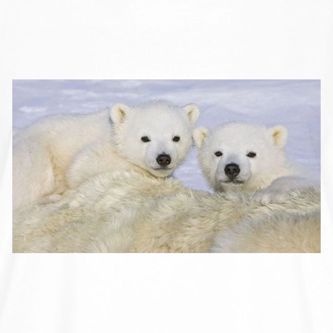 polarbears