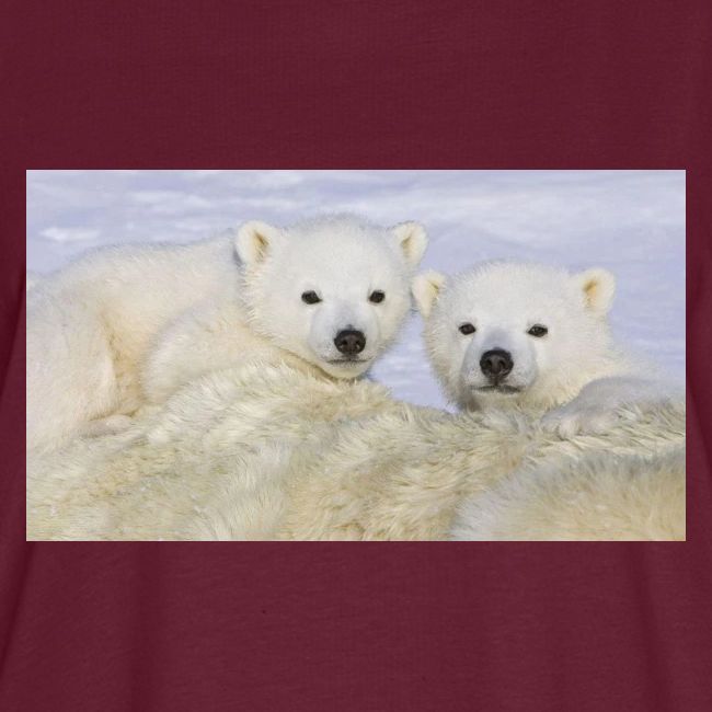 polarbears