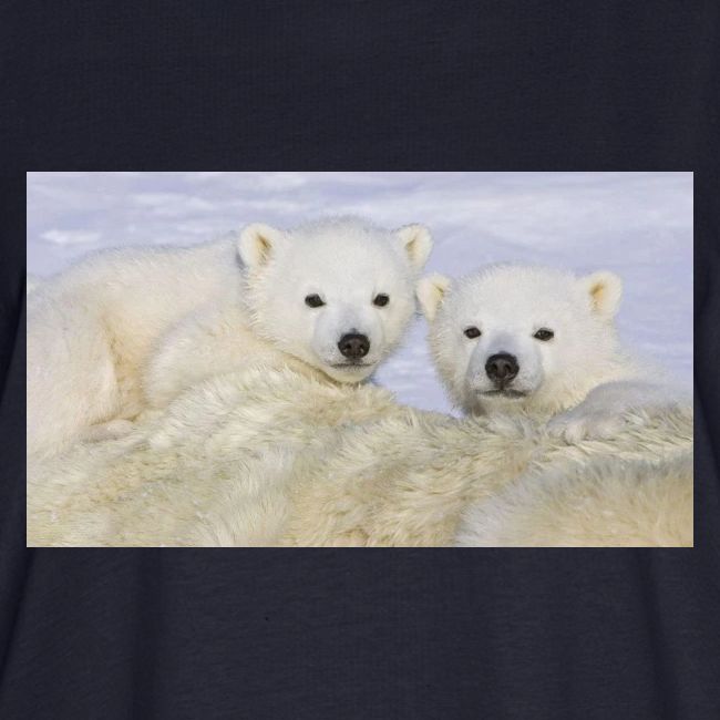 polarbears