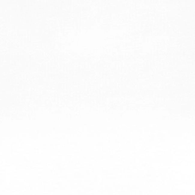 White NECCA Logo