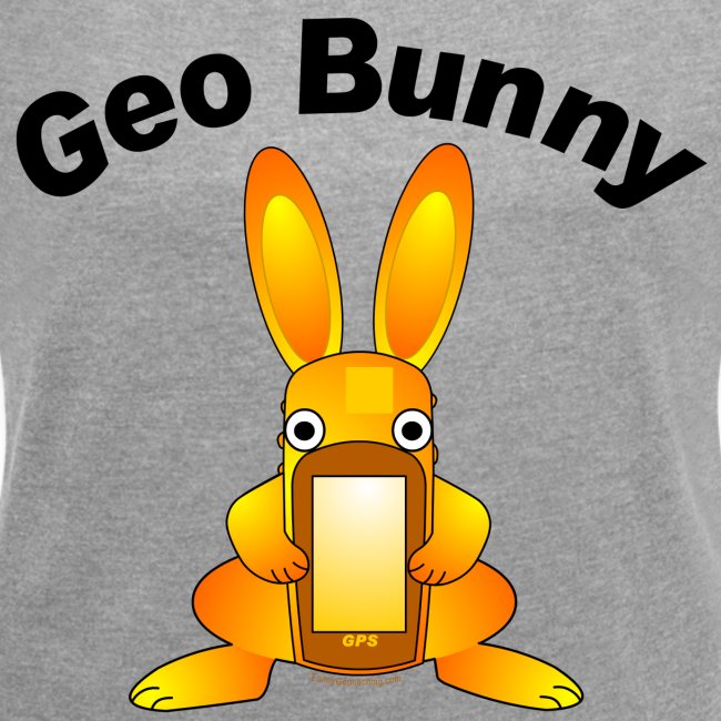 Geo Bunny Text