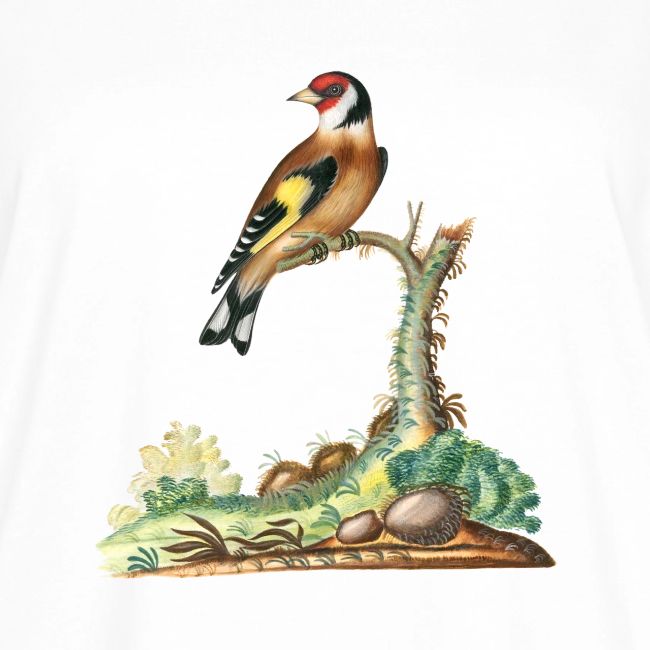 European goldfinch