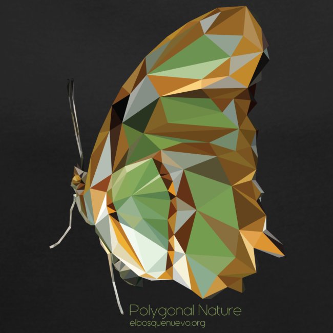 polygon butterfly EBN