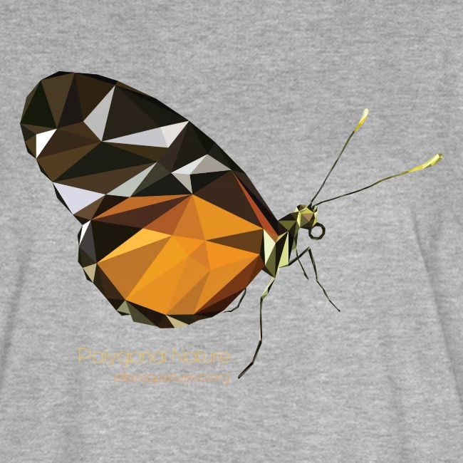 poligon_butterfly_1