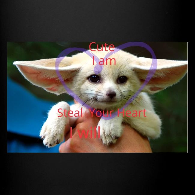 baby fox