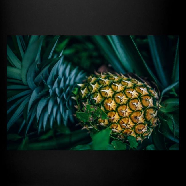 "Pineapple" Cute Photo. Buy Now