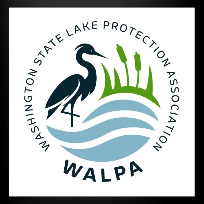Square Logo With Text