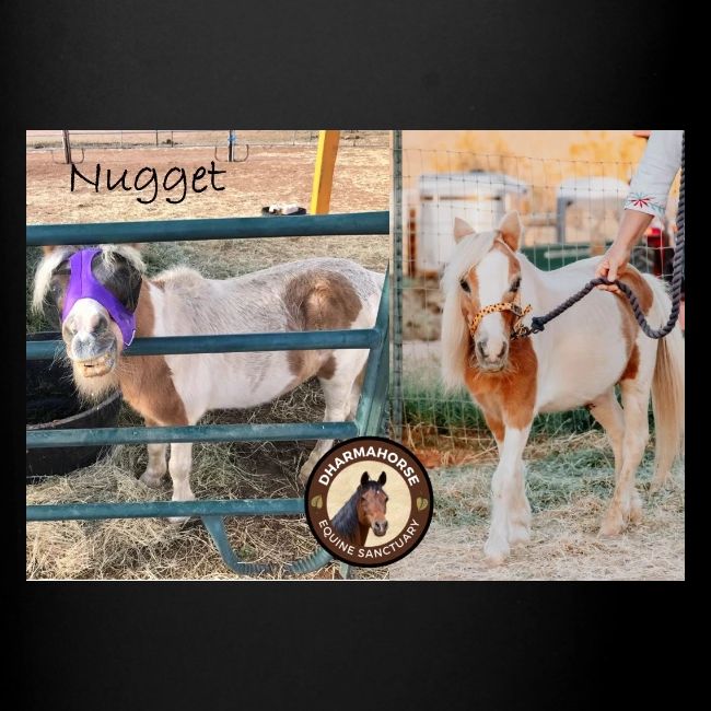 Nugget