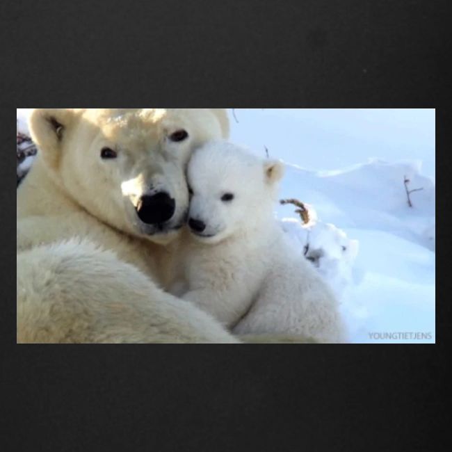 polarbearhug