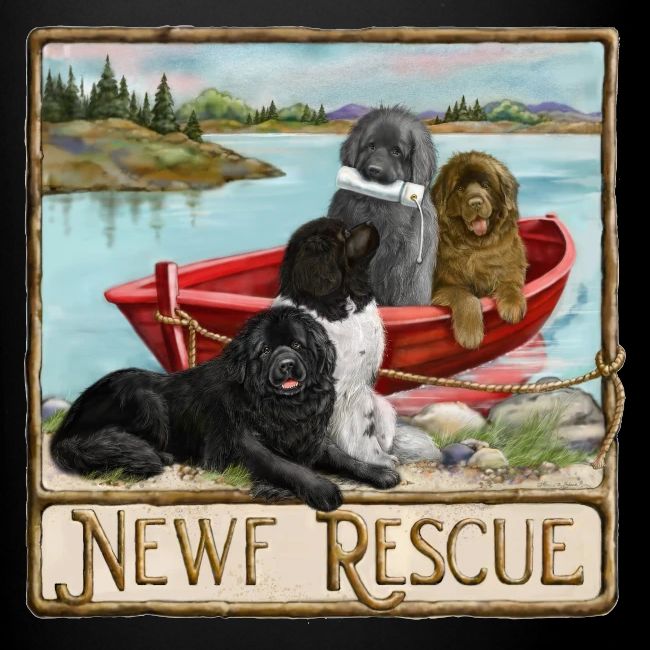 NCA Newfoundland Dog Rescue Gear