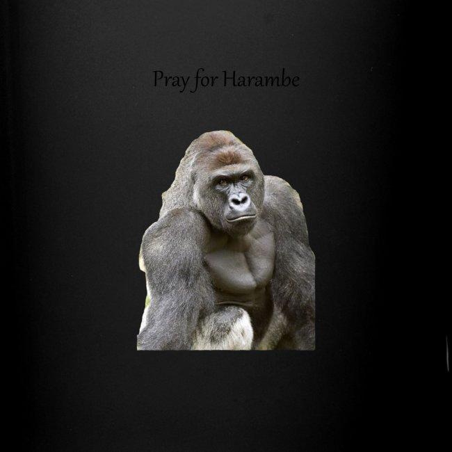 Pray for Harambe