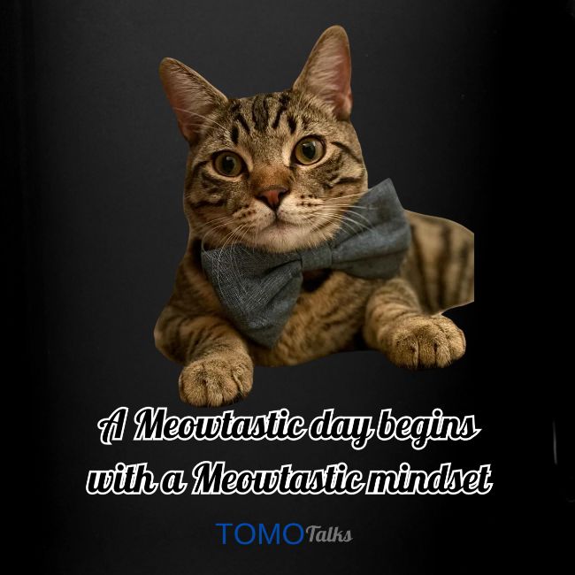 Meowtastic Mindset