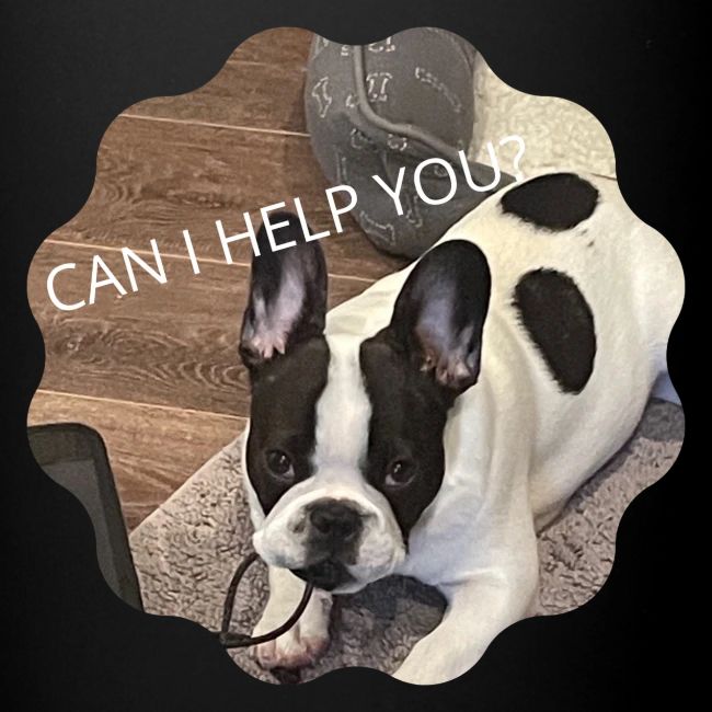 MOCHI CAN I HELP YOU