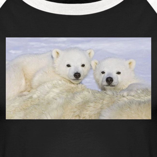 polarbears