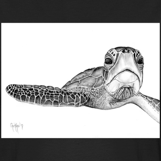 turtle076