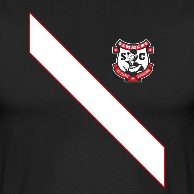 2010 sash png