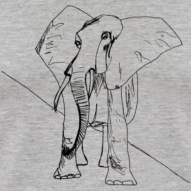 The leery elephant
