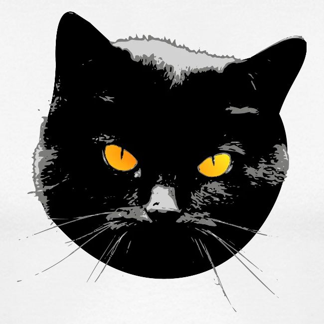 Black Cat