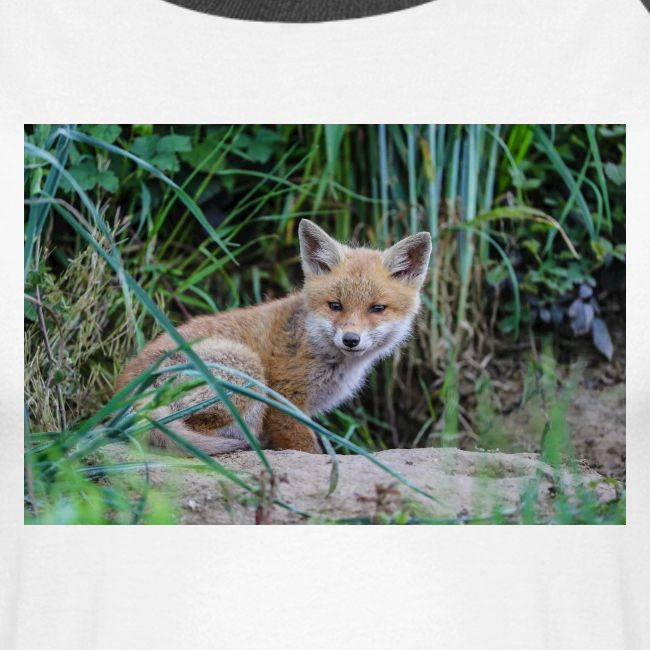 fox