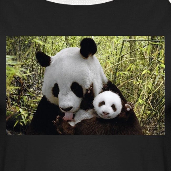 panda
