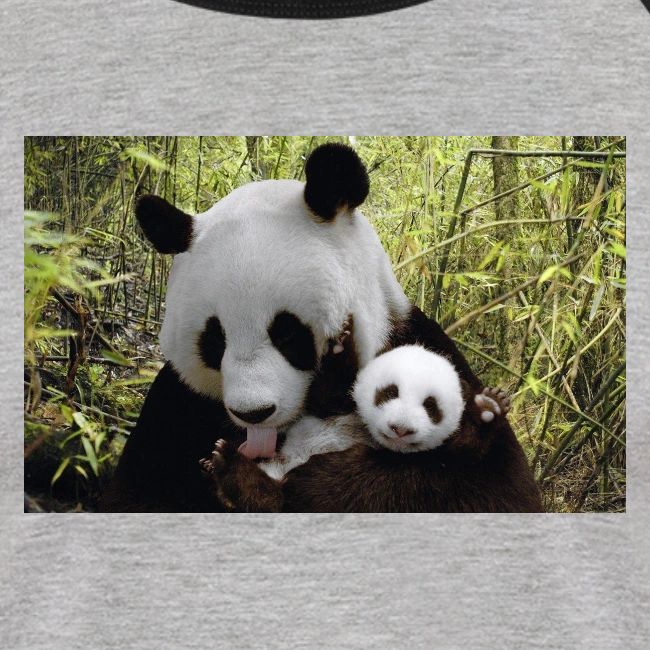 panda