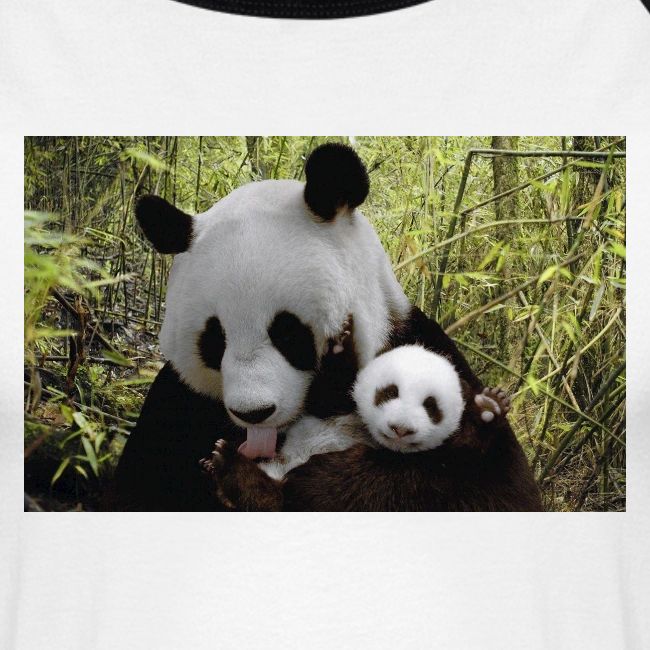 panda