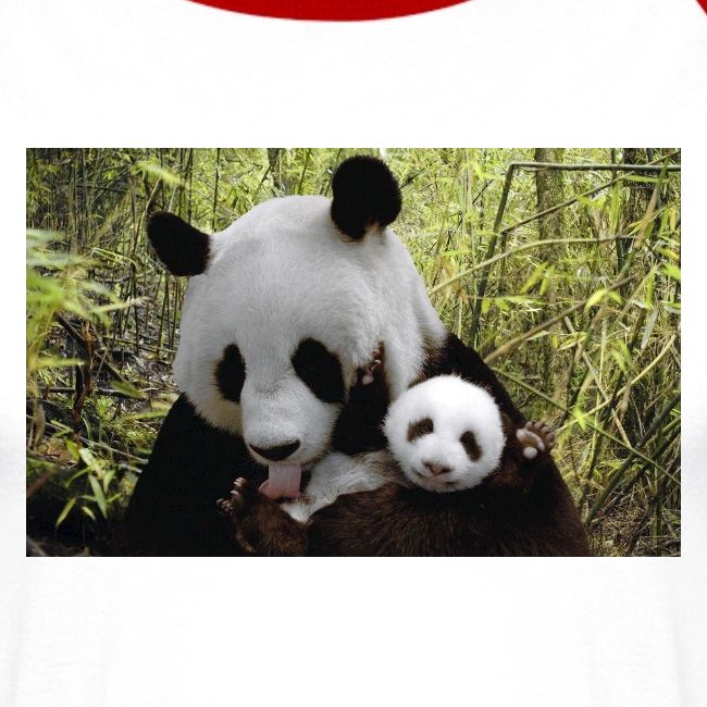 panda
