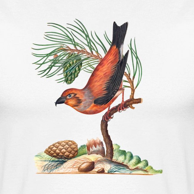 Red Crossbill