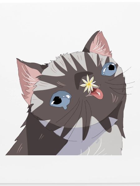 Idiot Cat