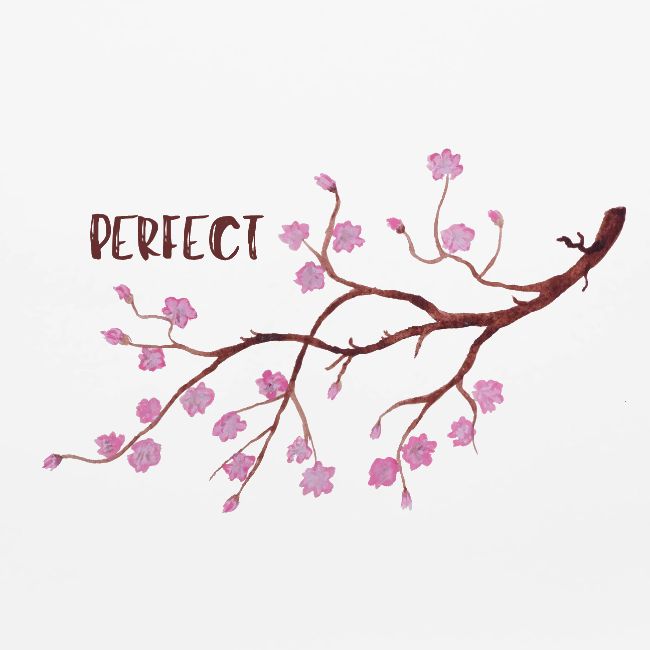 Perfect Cherry Blossom